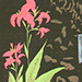 Mitsuhiro Unno Gallery